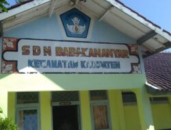 Syarat PPPK Tidak Dipenuhi Tapi Lolos Seleksi Ada Apa Dengan Dinas Pendidikan