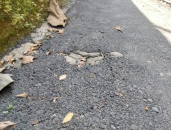 Rehabilitasi Jalan Lingkungan Desa Tolengas Diduga Tidak Sesuai RAB 