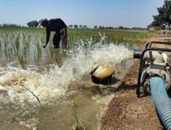 Program Perpompan Irigasi Pertanian Diduga Diwarnai Upeti Ke Orang Dinas