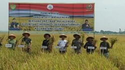 Harga Pupuk Subsidi Turun Sebesar 20 Persen Disambut Masyarakat 