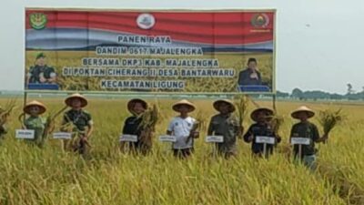 Harga Pupuk Subsidi Turun Sebesar 20 Persen Disambut Masyarakat 