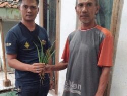 CV THREE DIAMONDS Berikan Bantuan Bibit Untuk Para Petani 