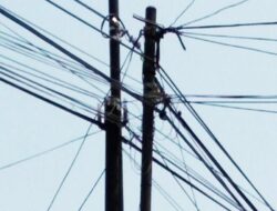 Pemasangan Tiang Wifi Dipertanyakan Oleh Warga 